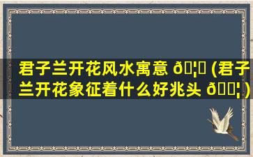 君子兰开花风水寓意 🦋 (君子兰开花象征着什么好兆头 🐦 )